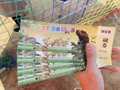 -长廊欢乐园