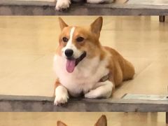 -鹿福农庄(南沙天后宫店)