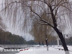 -武昌江滩