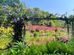-深圳仙湖植物园