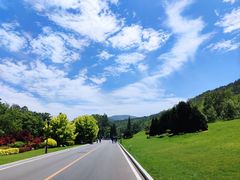 -棒棰岛宾馆景区