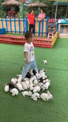 -萌宠亲子动物乐园(槐房万达店)