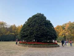 -灵谷景区