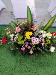 -雅奇婚庆(永乐园社区店)