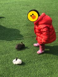 -萌宠亲子动物乐园(槐房万达店)