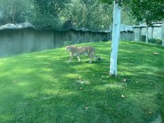 -北京野生动物园