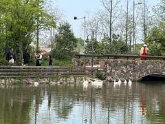 -田园东方蜜桃村的田野营地