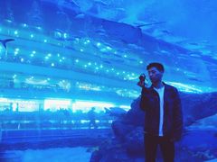 -成都浩海立方海洋公园