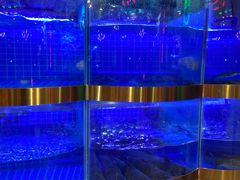 水产区-蛙一刀·麻椒鱼火锅(金仙桥店)