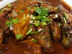 -邵年鸽(杨庄店)