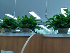-联合动物医院(光谷诊疗中心)