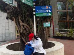 -石排湾郊野公园