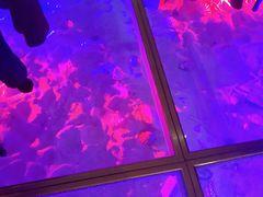 大堂-佐度王子扒房(天鹅湖店)