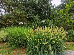 -国家植物园南园