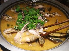 -猫头婴小酒馆FUN OWL(1912店)