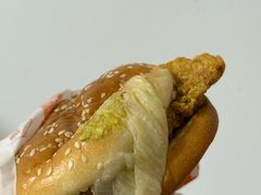 -汉堡王(嘉定宝龙城市广场)