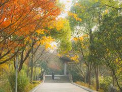 -长广溪湿地公园