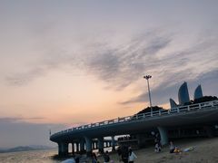 -演武大桥观景平台