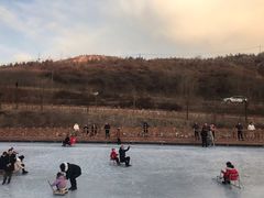 景点-五龙城郊森林公园