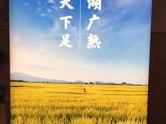 -岳阳市博物馆