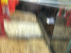 -小宝栗子(嘉华国际商业中心店)