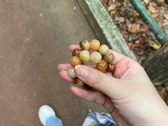 -敬亭山风景名胜区