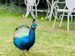 -金庭庄园酒店-停车场