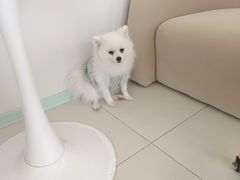 -怪兽屋·羊驼·猫咖·狗咖(俊华广场店)