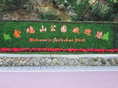 -金鸡山公园