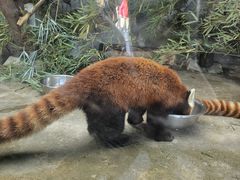 -武汉动物园