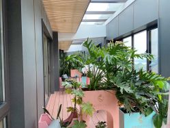 -美悦湾月子中心(熙湖店)