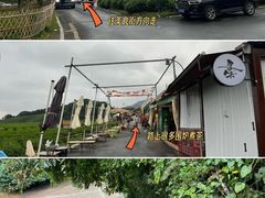 -午潮山国家森林公园