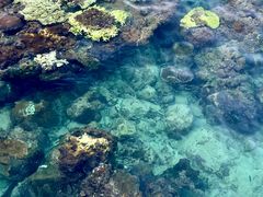 -三亚西岛海洋文化旅游区