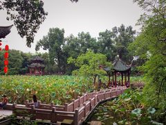 -房湖公园