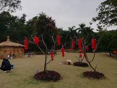 -南宁良凤江国家森林公园