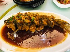 -金春禧(世茂国际广场店)