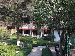 -十八棵（老龙井）御茶园(老龙井店)