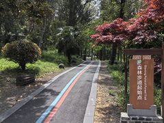 -第一山景区