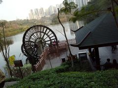 -重庆彩云湖湿地公园