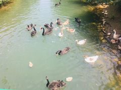 -长白岛森林公园