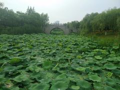 -尚贤河湿地