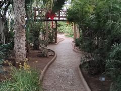 -石家庄市植物园