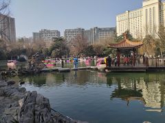 -西苑公园