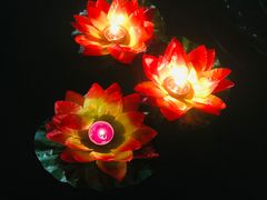 -北京世界公园