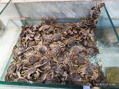 -川骄海鲜自助(河东店)