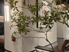 -大榕树下顺德菜(融创茂店)