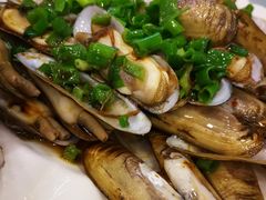 -金海湾海鲜排档(朱家尖店)