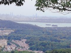 -杭州植物园