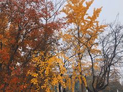 -长安大学(北校区)