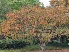 -苏州河梦清园环保主题公园